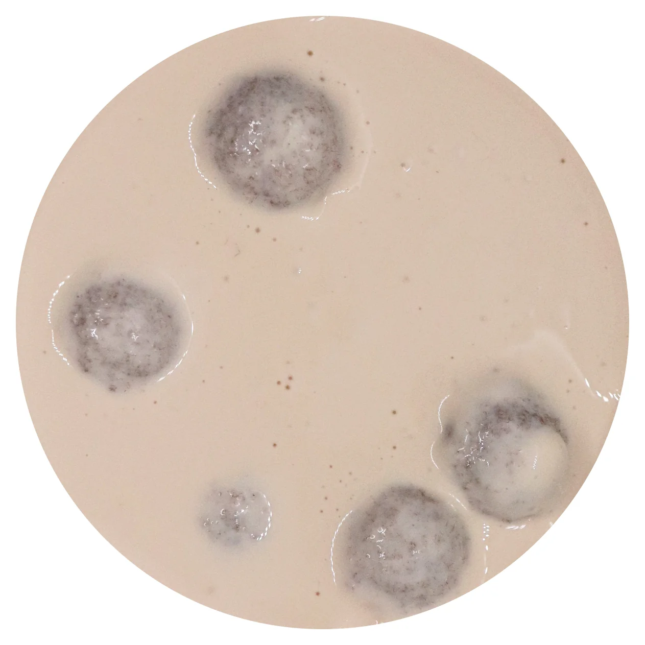 Chai Bubble Tea