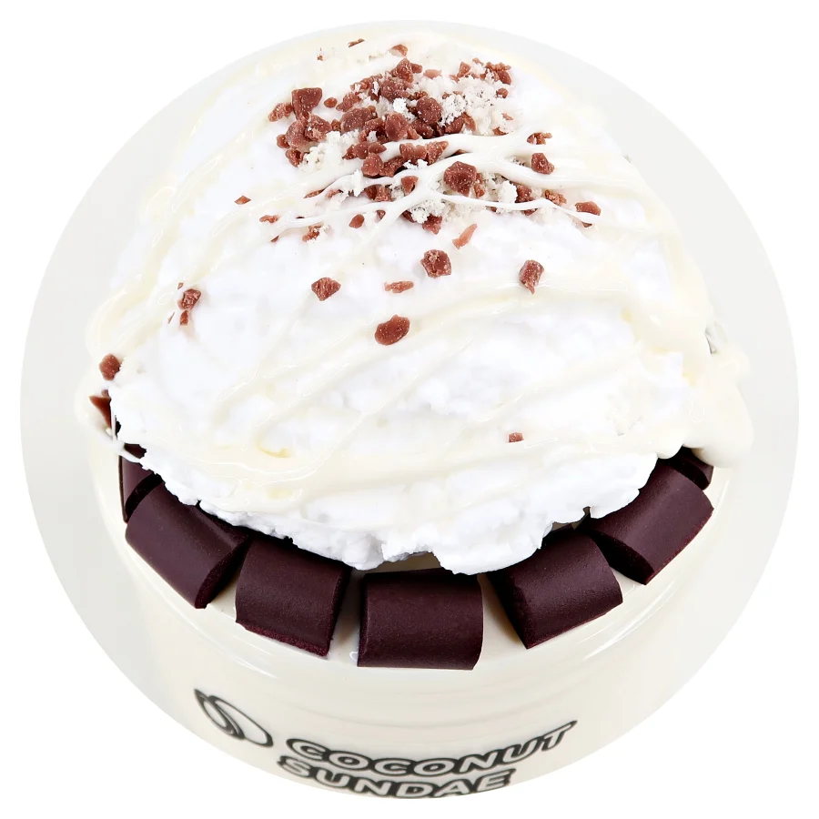 Coconut Sundae DIY - Image 3