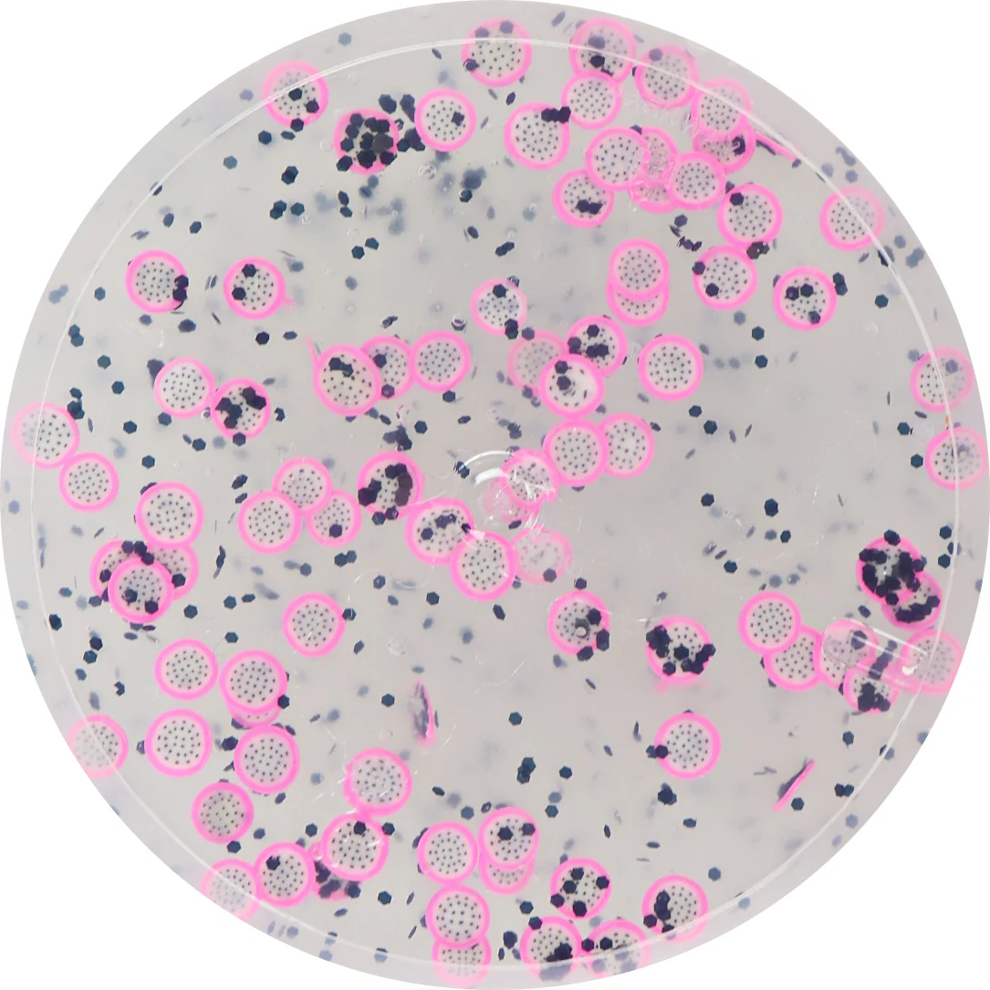 Dragon Fruit Jelly - Image 2