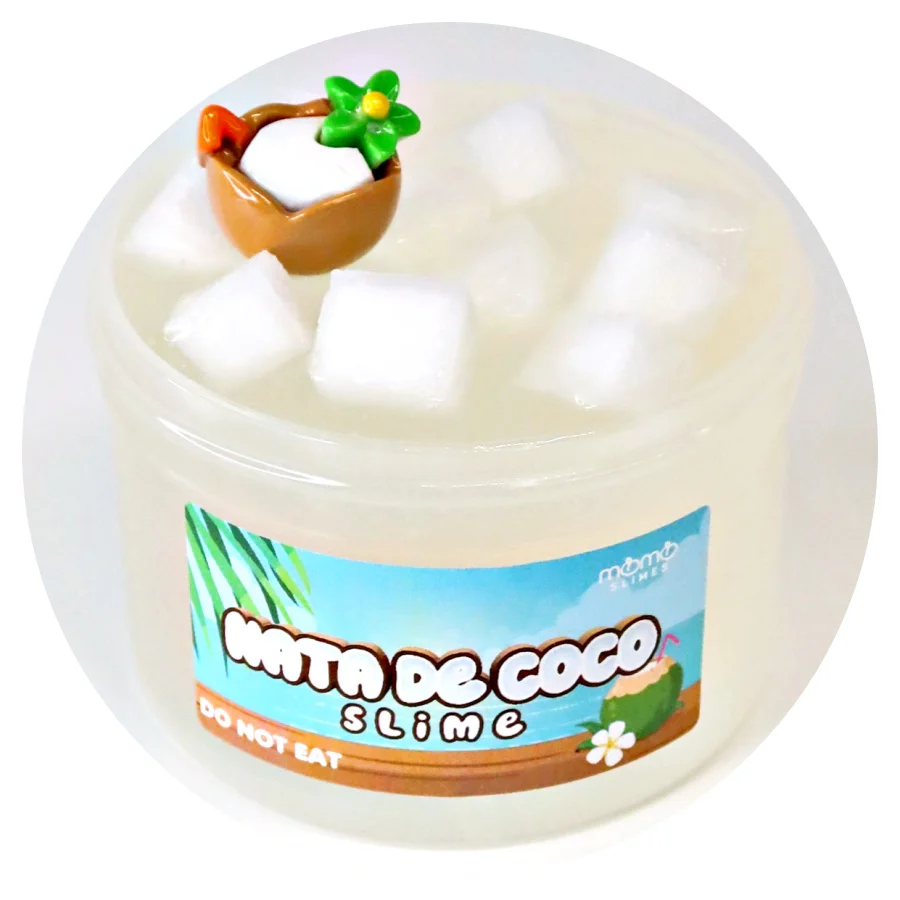 Nata De Coco Slime